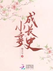 小妾 推荐