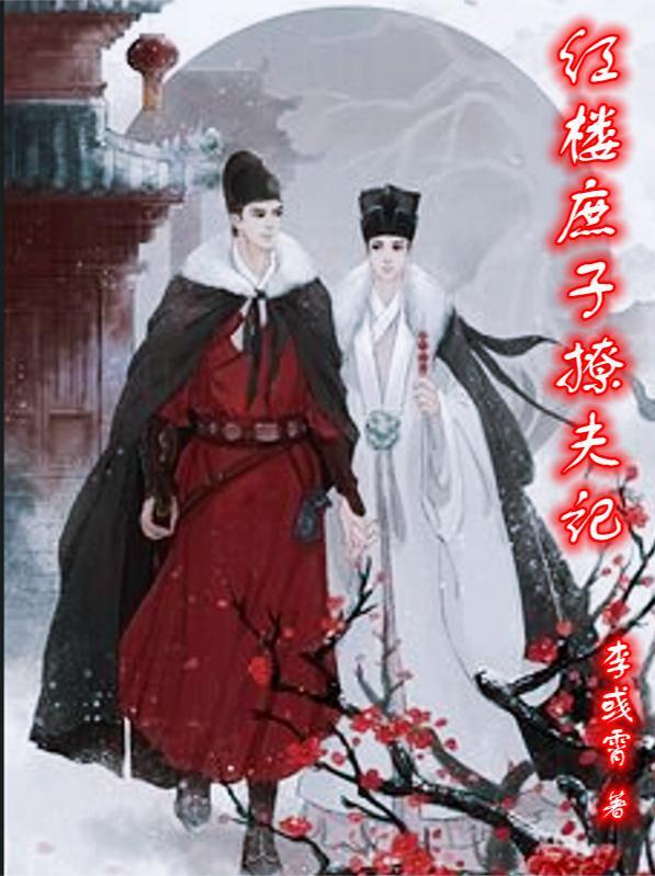 红楼之庶子为难