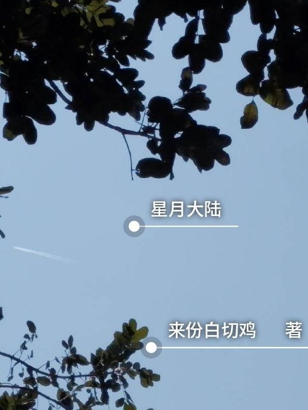 星月cp