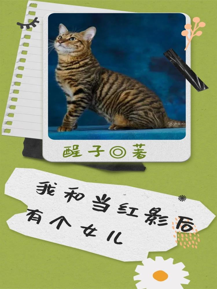我和影后有个约会gl