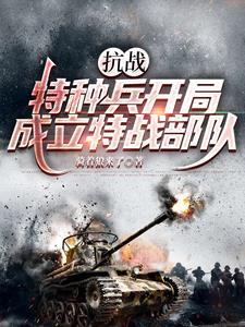 抗战特种兵之