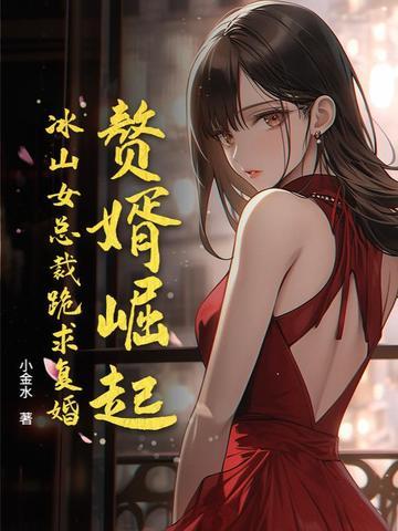 女总裁 赘婿