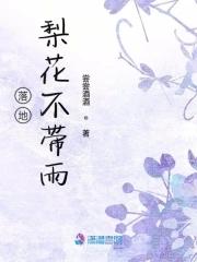 落地梨花月又西