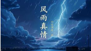 风雨真情张强