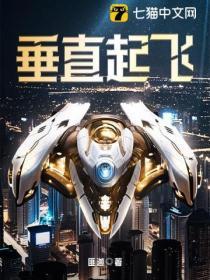 垂直起降飞机布局有哪些