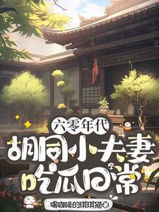 六零胡同小夫妻日常无删减版