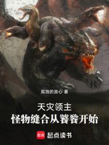 灾难兽的影灵衣