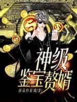 神级鉴宝弃少