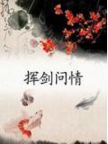 电视剧挥剑问情