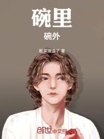 碗里的碗