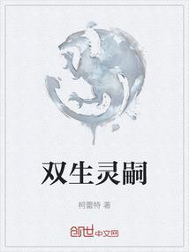双生灵剧透