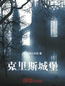 克里斯城堡干红葡萄酒价格