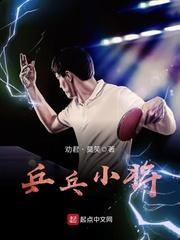 主人公叫叶风的是什么