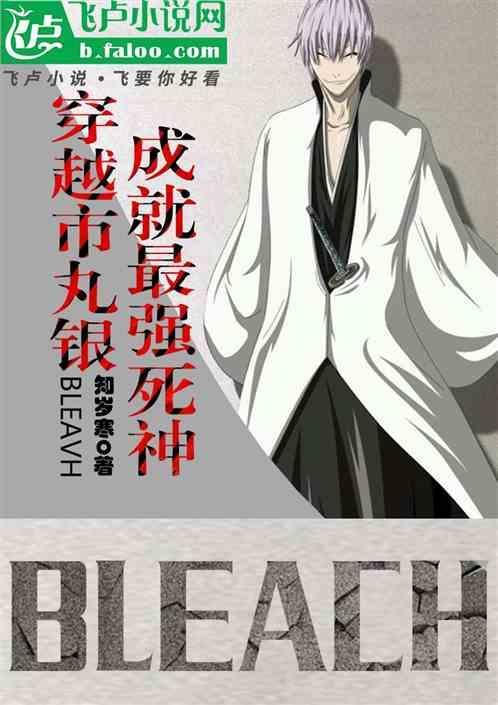 死神中市丸银的结局