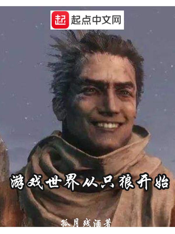 一切从只狼开始16