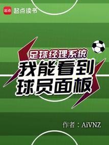 足球经理 系统局