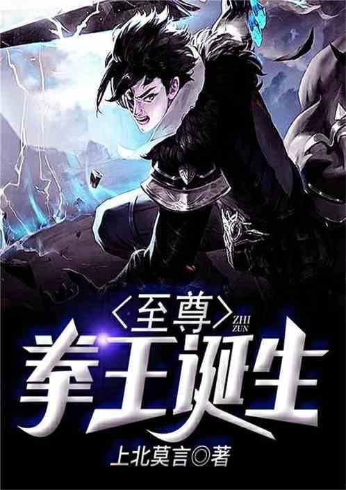 至尊拳王诞生于哪一年