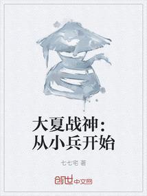 大夏战神从小兵开始