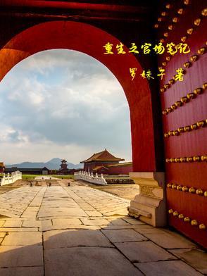 重生之官场官场鬼才