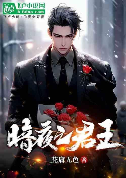 暗夜君王是谁