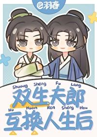 双生夫郎互换人生后笔趣阁