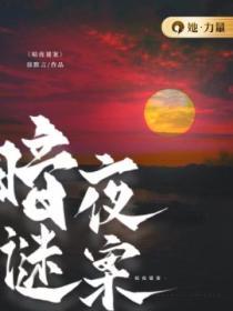 暗夜谜案 张译