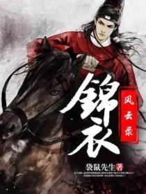 锦衣风云录免费观看