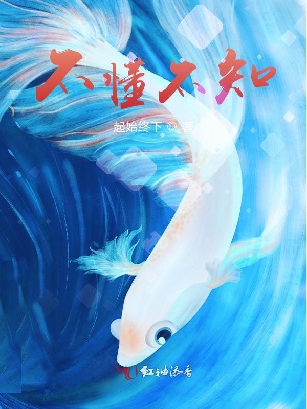 不懂不知不晓的下一句