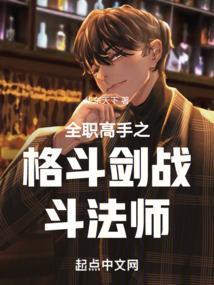 全职高手战斗法师图片