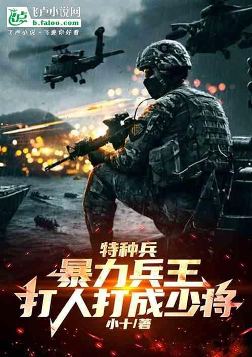 暴王特种兵王猛免费