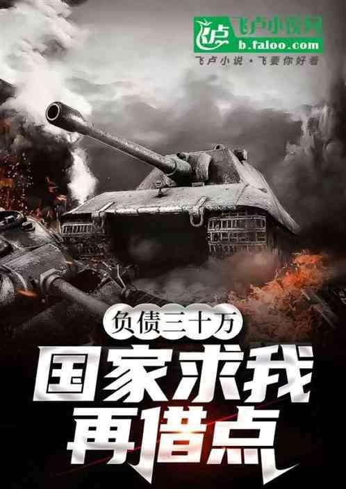 负债30w怎么办