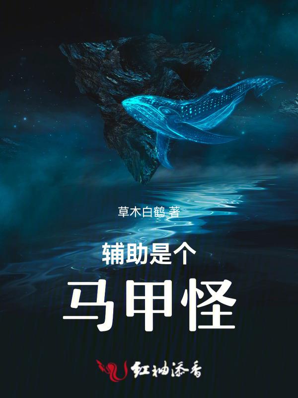 辅助算什么东西