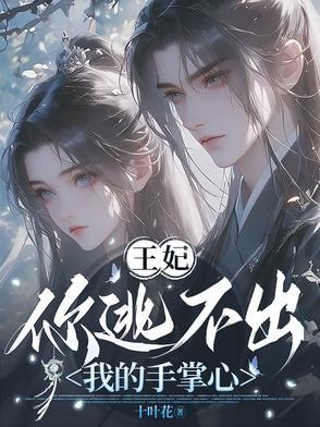 王妃你别逃