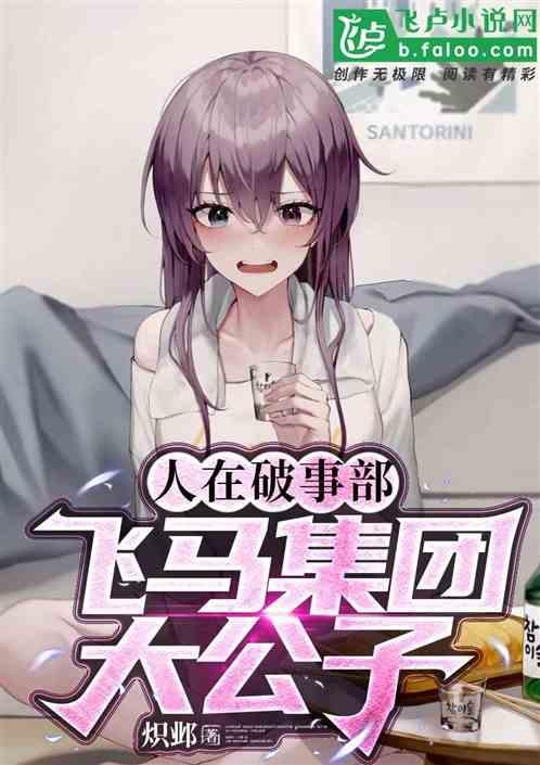 飞马集团股份有限公司
