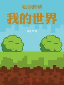 我穿越到我的世界里是什么意思