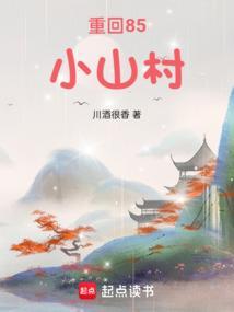 重回1981小山村txt
