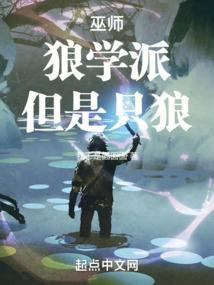 巫师和只狼