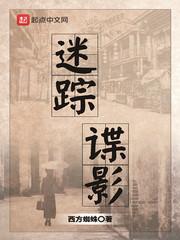迷踪谍影孟绍原无弹窗