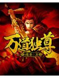 万道独尊 魂圣