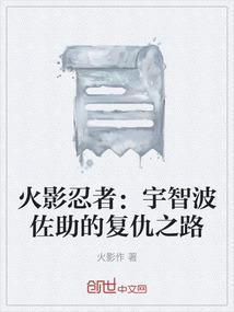 佐助复仇游戏