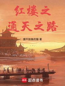 红楼天道被穿越