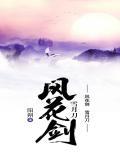 风花雪月剑术s