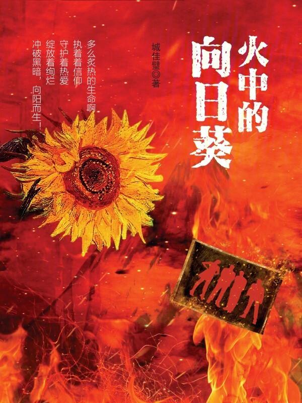 业火的向日葵观后感