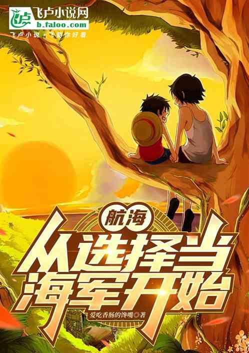 海贼之从海贼开始的选择