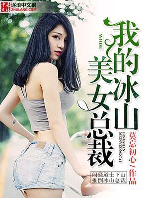 我的冰山美女总裁寂灭