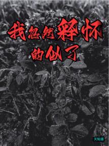 我突然释怀的笑是哪首歌
