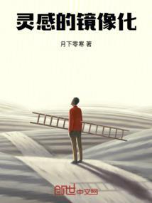 镜像艺术家