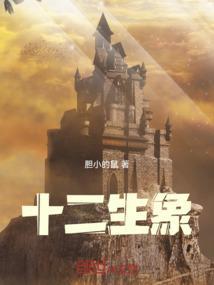 十二生象的五行属性是