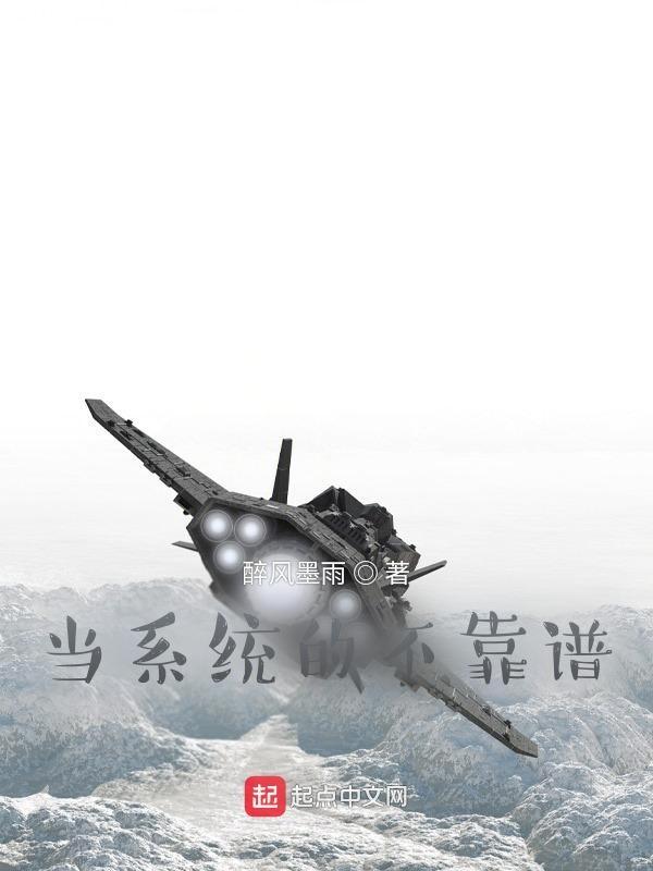 当系统泛滥成灾无防盗