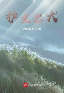 宠物小精灵护主犬